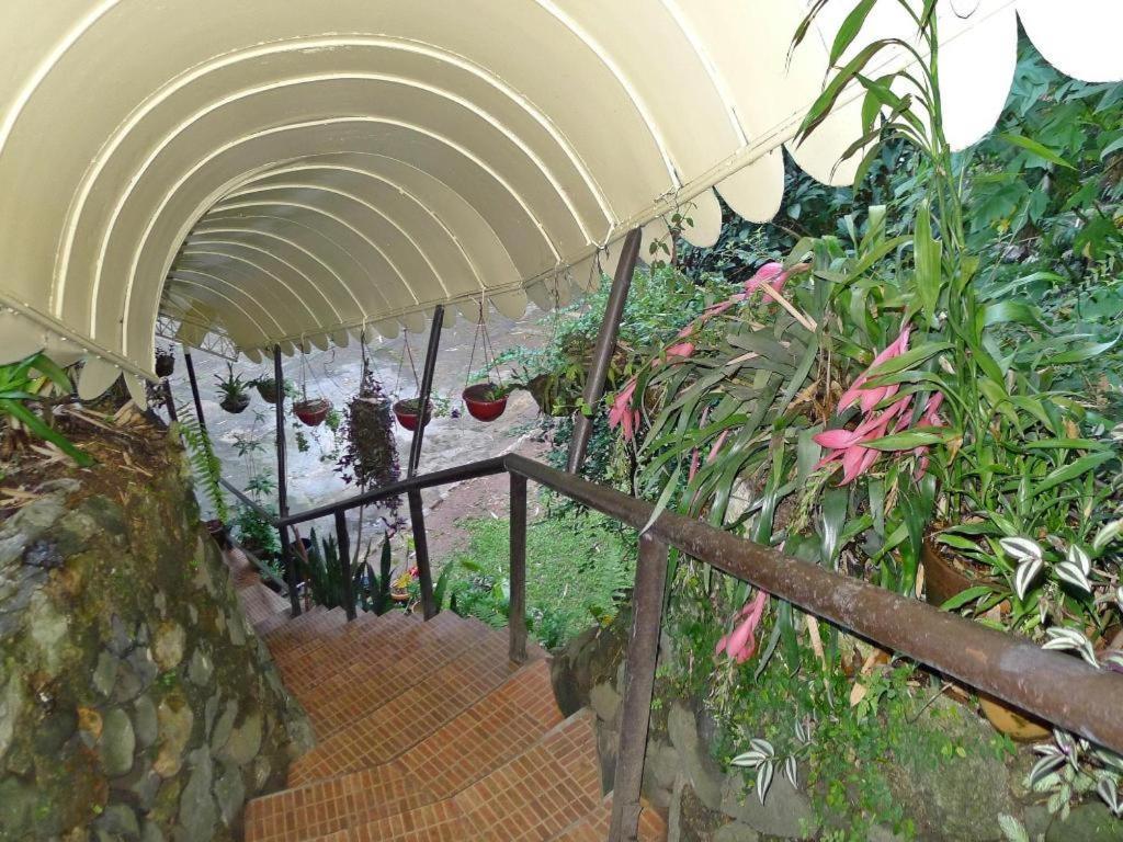 Mountain Lodge And Restaurant Baguio City Eksteriør bilde
